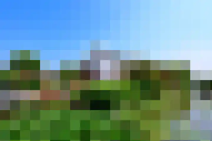 Zuideinde 64 Nieuwkoop thumbnail 4