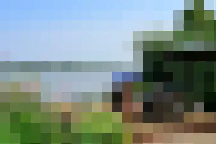 Zuideinde 64 Nieuwkoop thumbnail 41