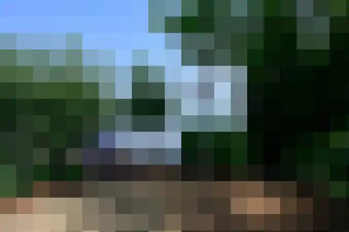 Zuideinde 64 Nieuwkoop thumbnail 43