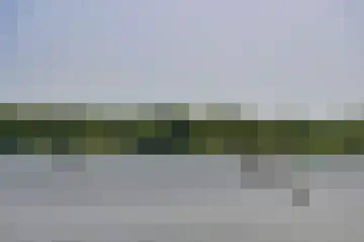 Zuideinde 64 Nieuwkoop thumbnail 44