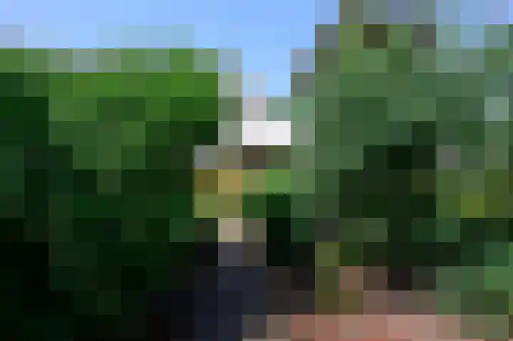 Zuideinde 64 Nieuwkoop thumbnail 45