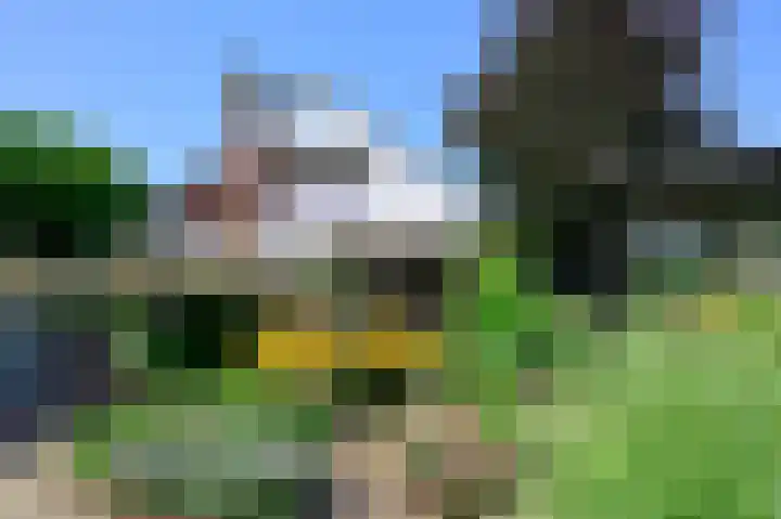Zuideinde 64 Nieuwkoop thumbnail 46