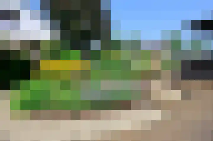 Zuideinde 64 Nieuwkoop thumbnail 47