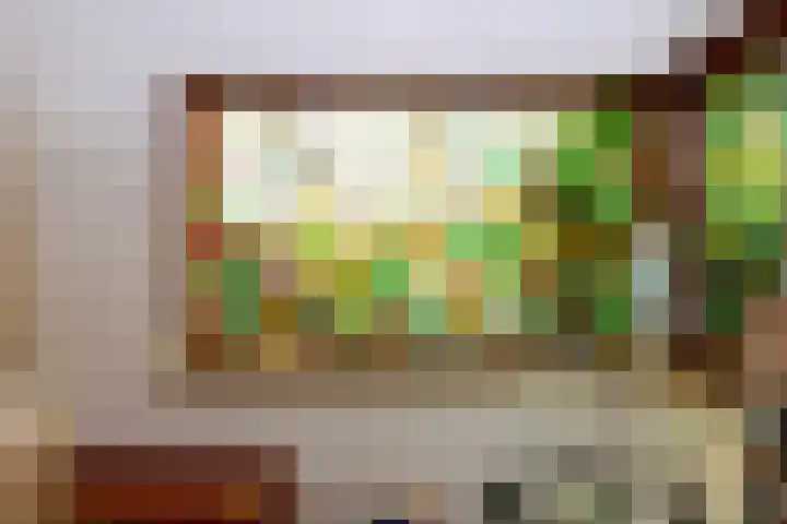 Zuideinde 64 Nieuwkoop thumbnail 48