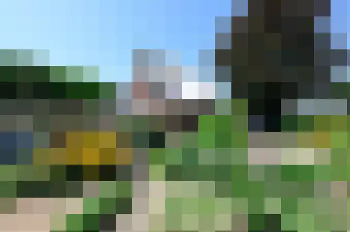 Zuideinde 64 Nieuwkoop thumbnail 9