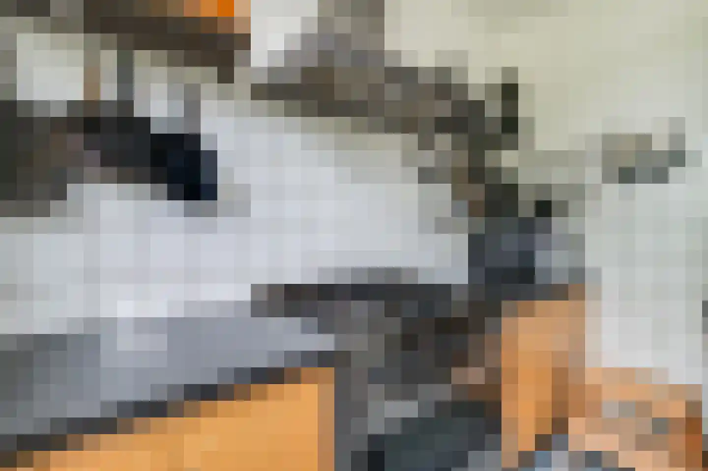 Zuideinde 65 Landsmeer thumbnail 17
