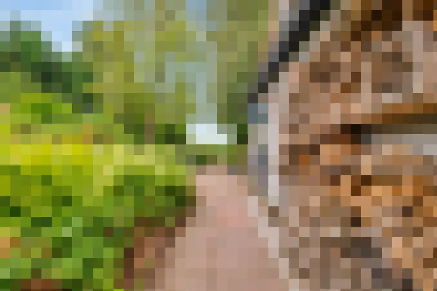 Zuideinde 65 Landsmeer thumbnail 40