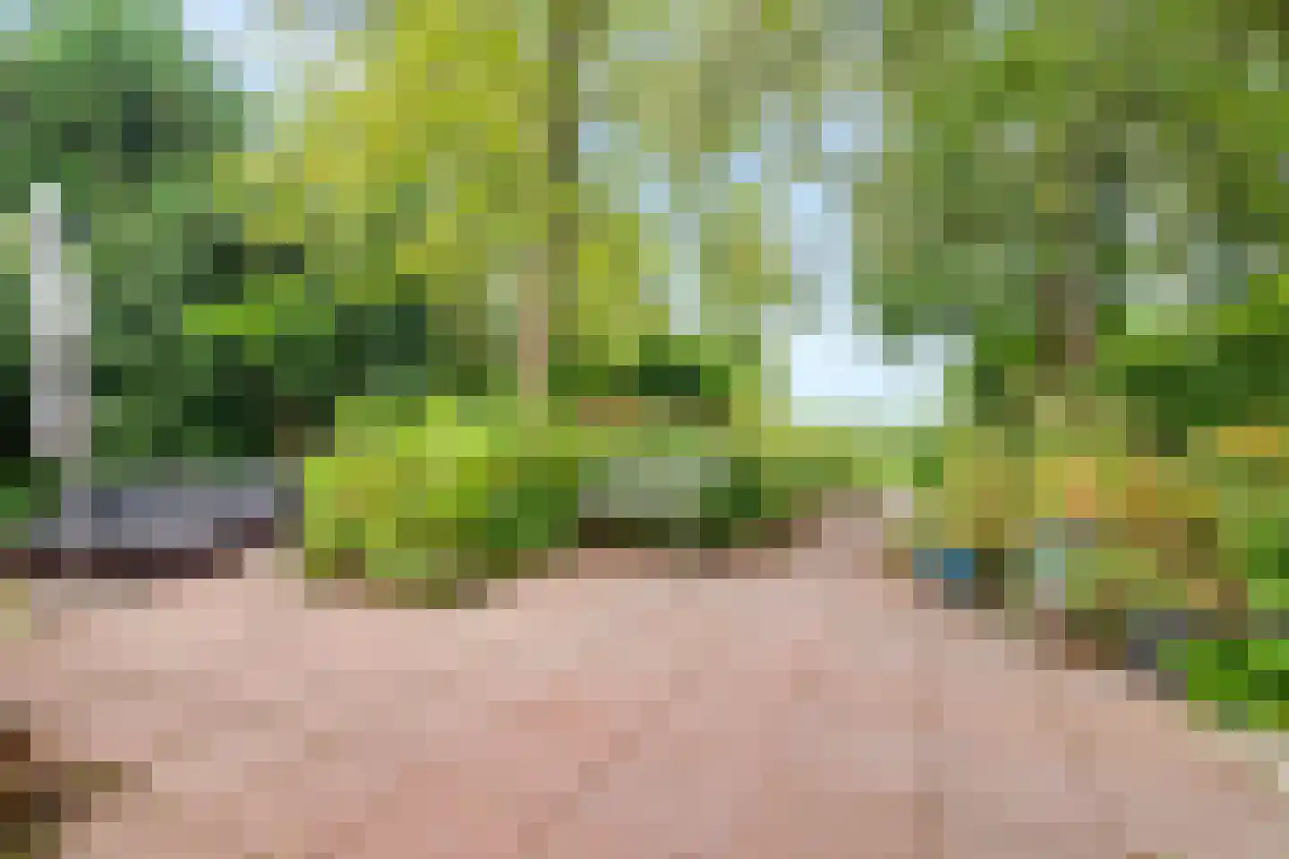 Zuideinde 65 Landsmeer thumbnail 44