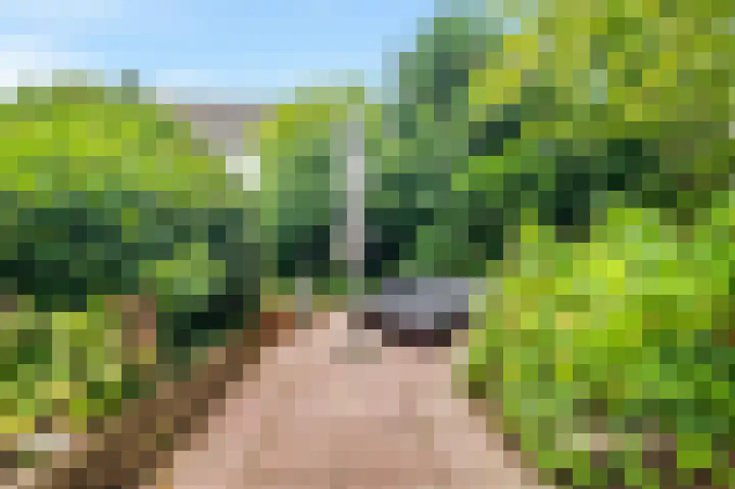 Zuideinde 65 Landsmeer thumbnail 45