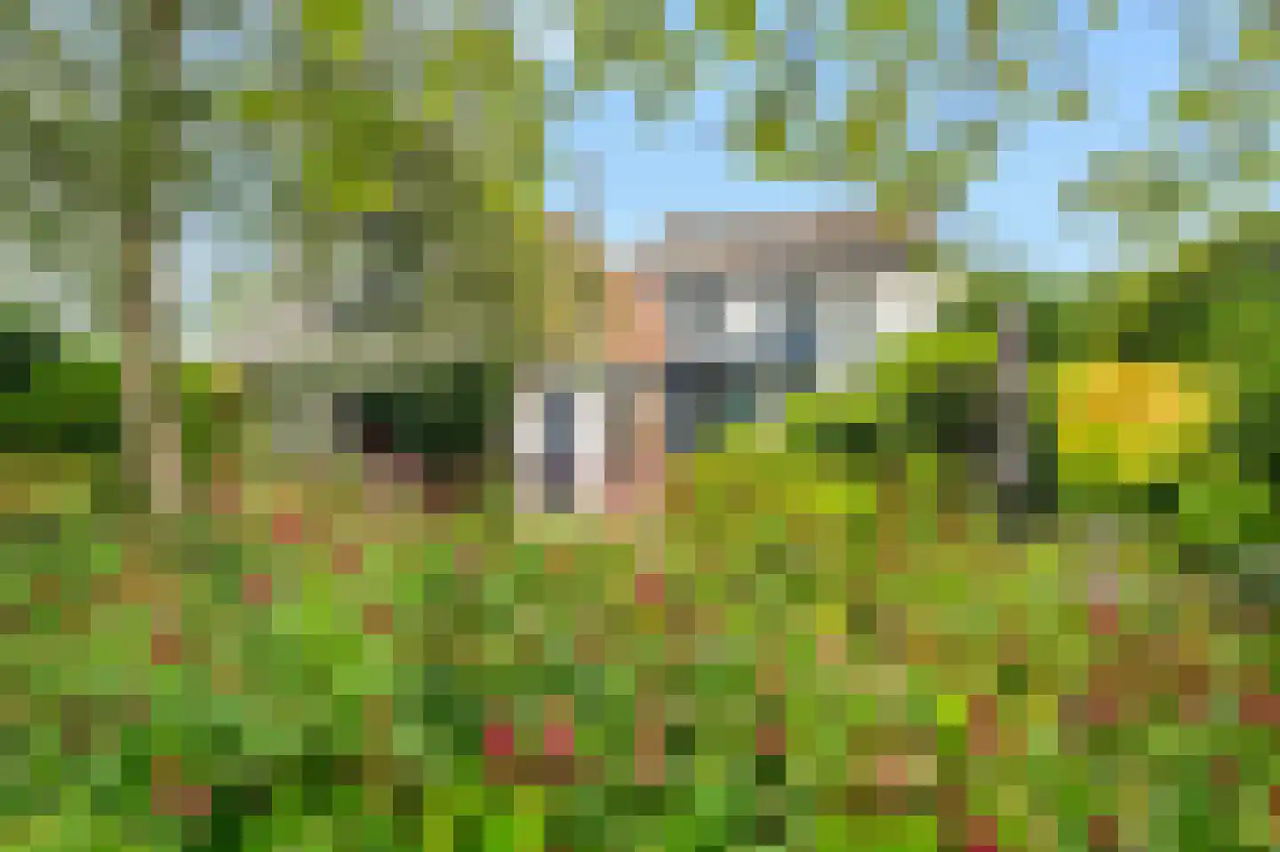 Zuideinde 65 Landsmeer thumbnail 47