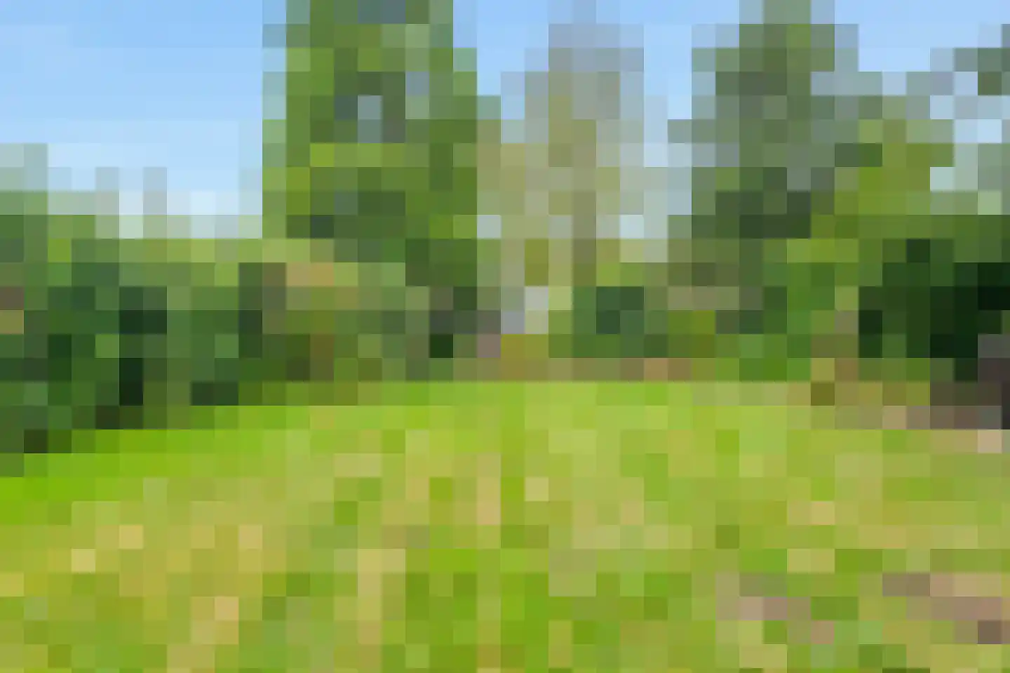 Zuideinde 65 Landsmeer thumbnail 48
