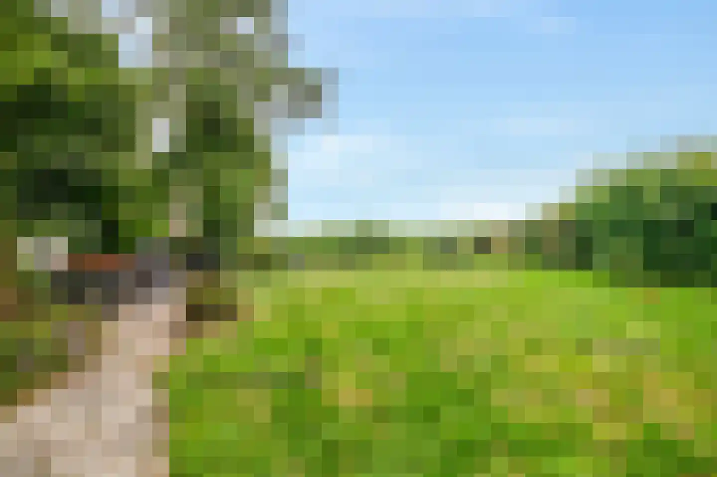 Zuideinde 65 Landsmeer thumbnail 49