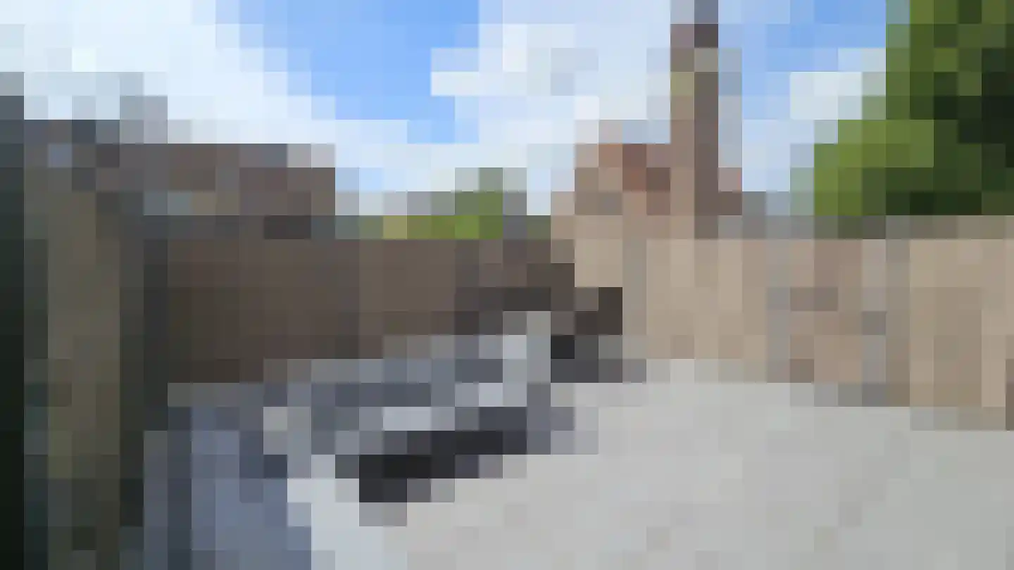 Zuideinde 67 A Westzaan thumbnail 30