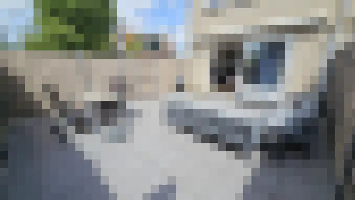 Zuideinde 67 A Westzaan thumbnail 31