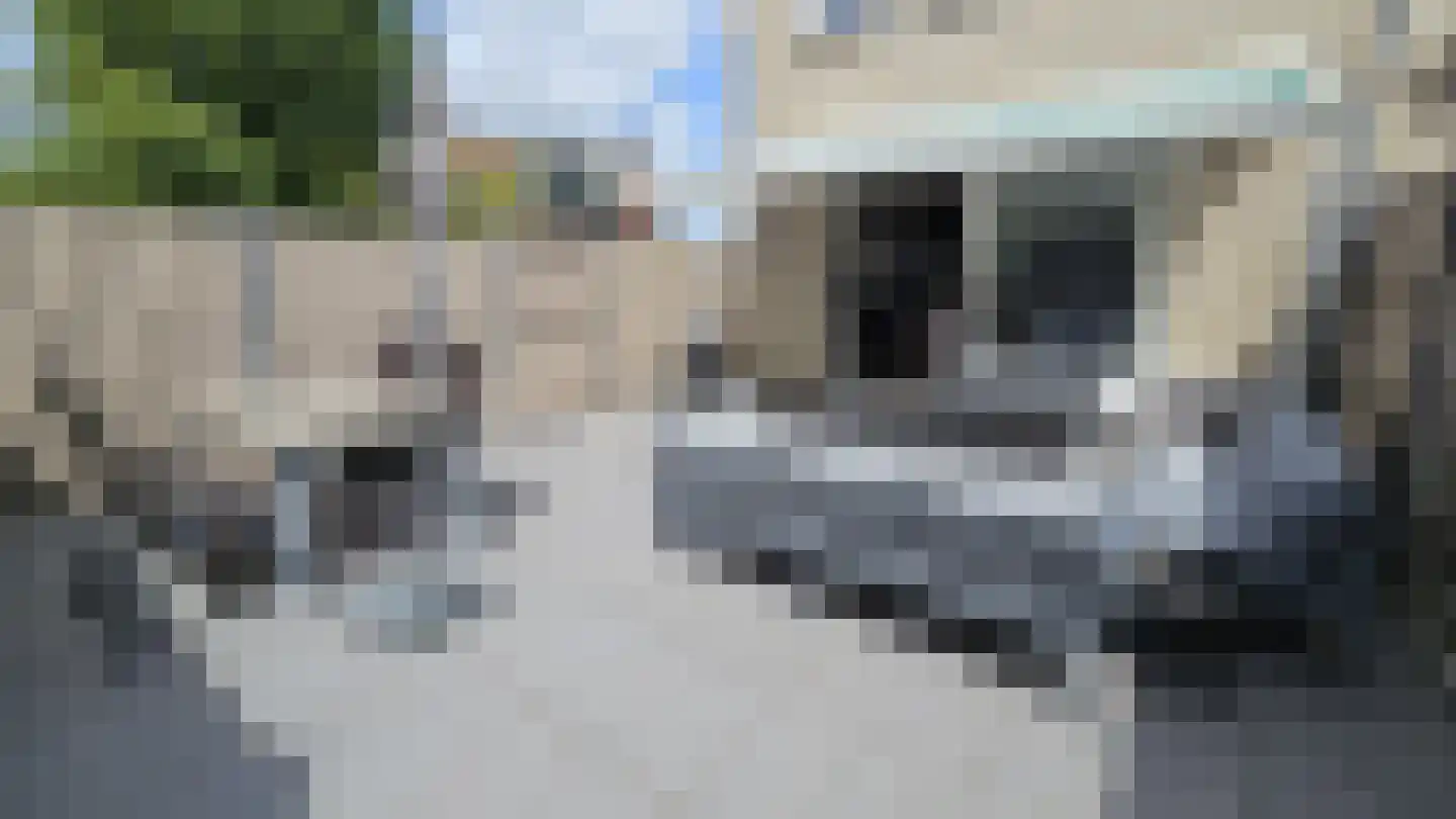 Zuideinde 67 A Westzaan thumbnail 33