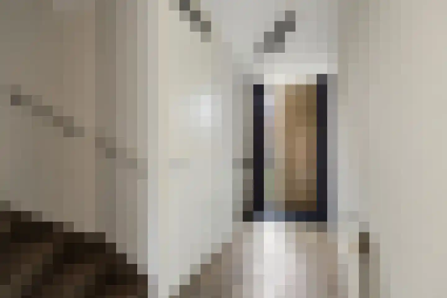 Zuideinde 68 Dinteloord thumbnail 12
