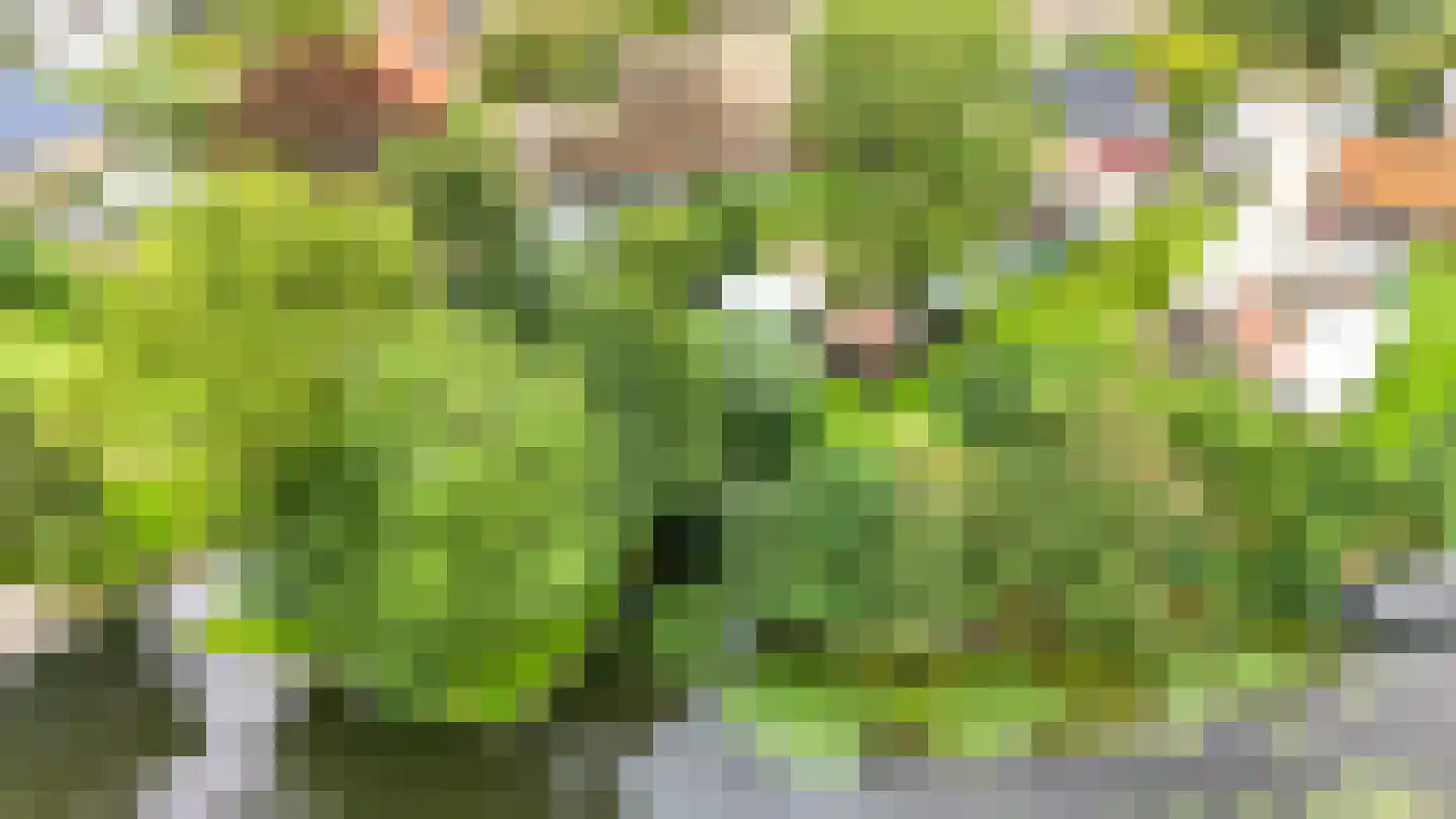 Zuideinde 69 Nieuwkoop thumbnail 13