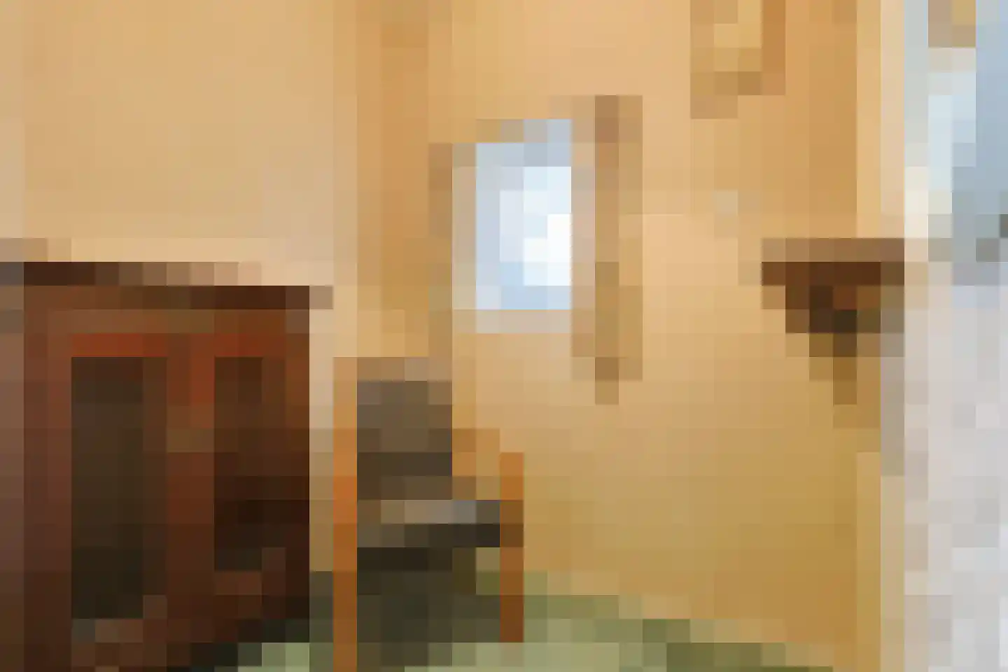 Zuideinde 69 Nieuwkoop thumbnail 31