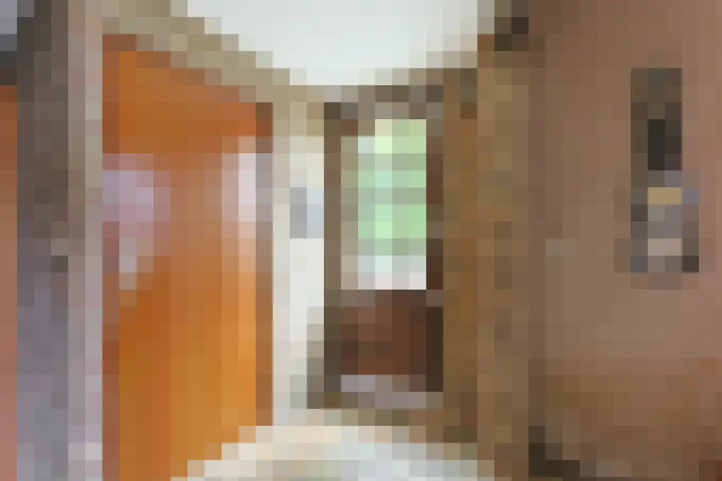 Zuideinde 69 Nieuwkoop thumbnail 32