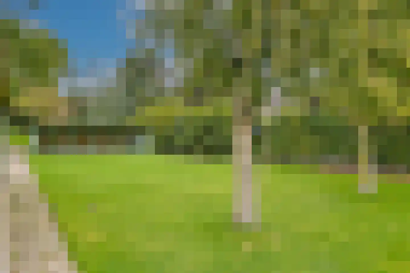Zuideinde 69 Nieuwkoop thumbnail 41