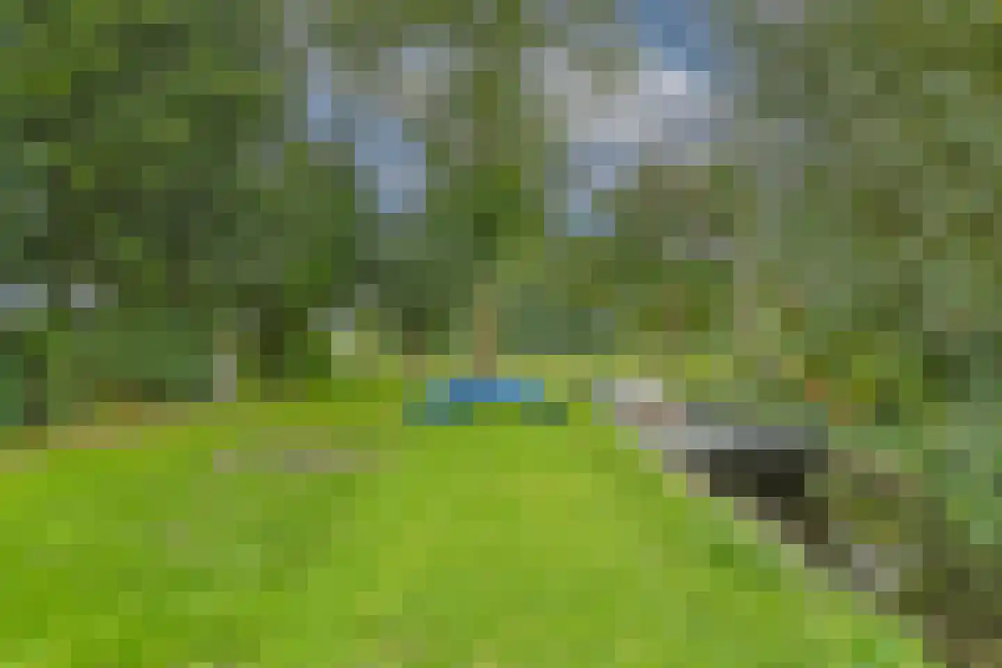 Zuideinde 69 Nieuwkoop thumbnail 43