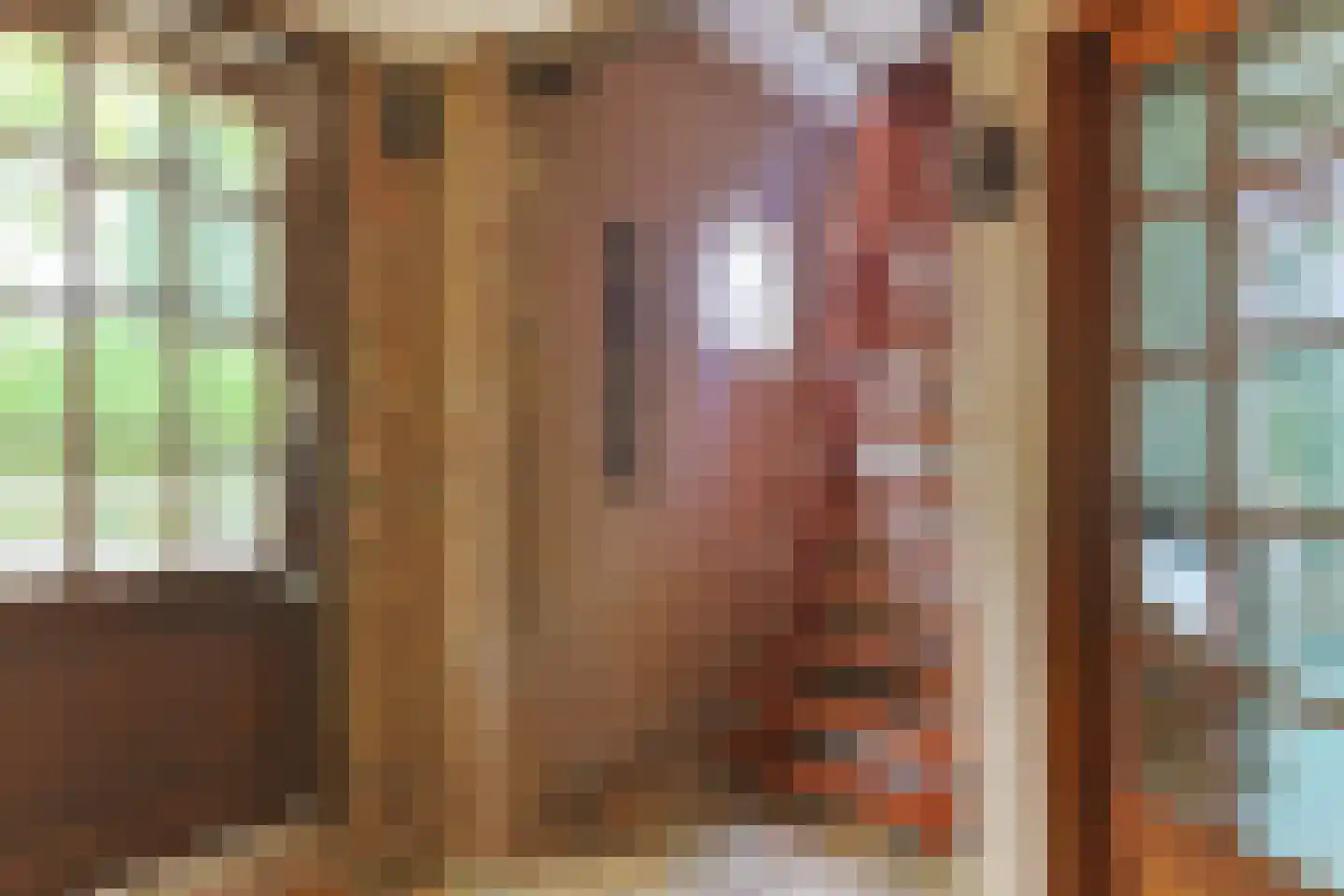 Zuideinde 69 Nieuwkoop thumbnail 46