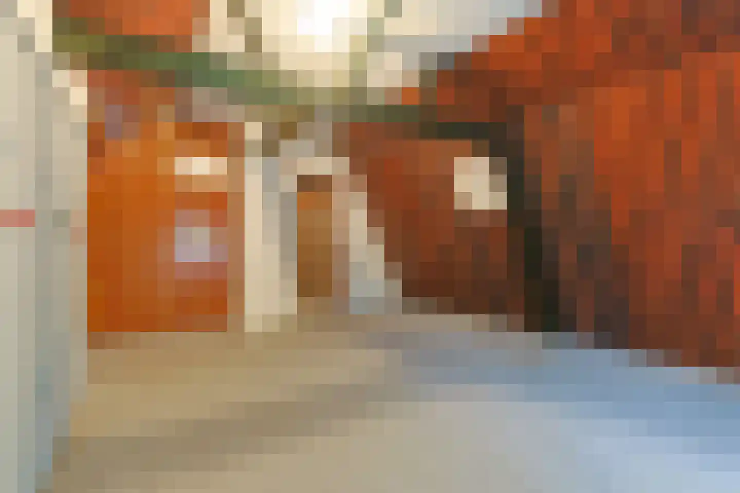 Zuideinde 69 Nieuwkoop thumbnail 47