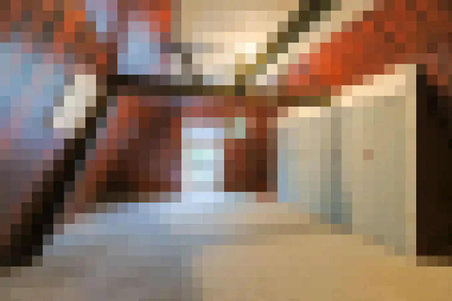 Zuideinde 69 Nieuwkoop thumbnail 49