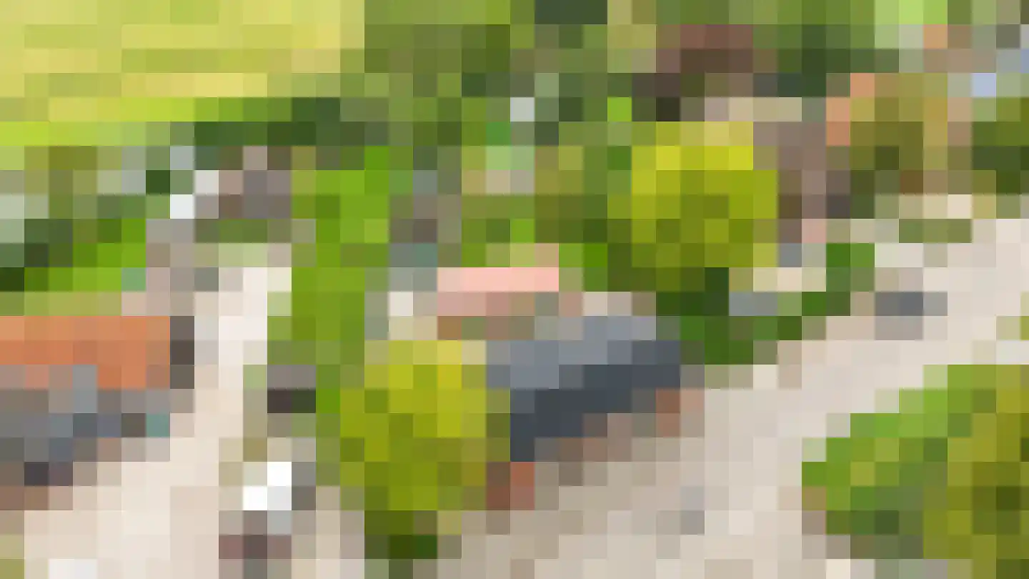 Zuideinde 69 Nieuwkoop thumbnail 53
