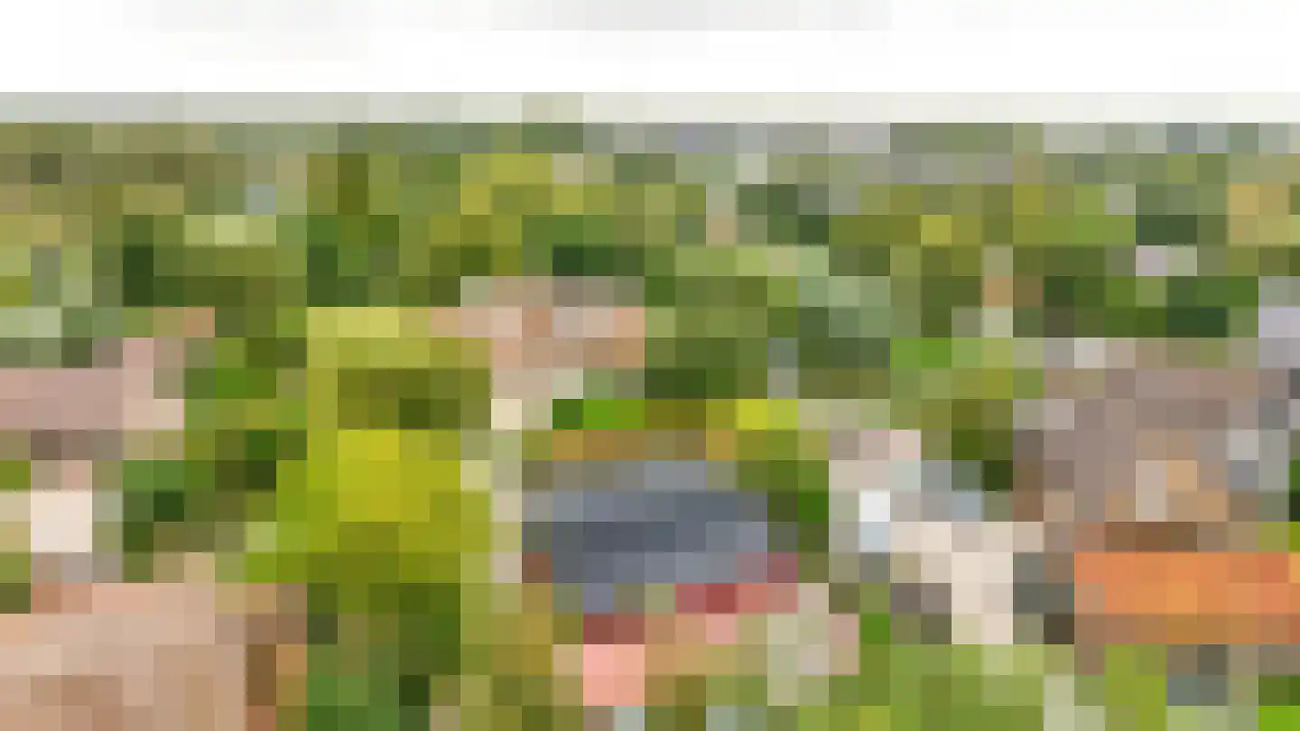 Zuideinde 69 Nieuwkoop thumbnail 56