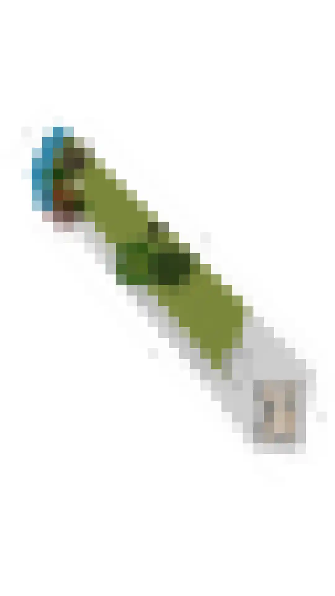 Zuideinde 69 Nieuwkoop thumbnail 60