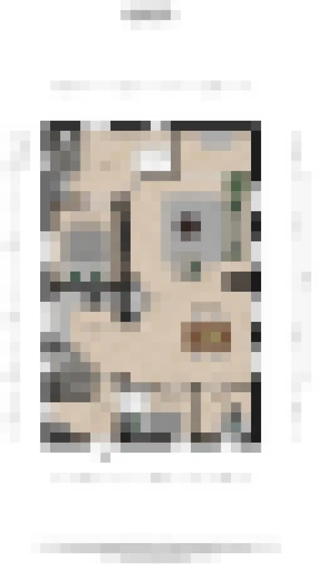 Zuideinde 69 Nieuwkoop thumbnail 61