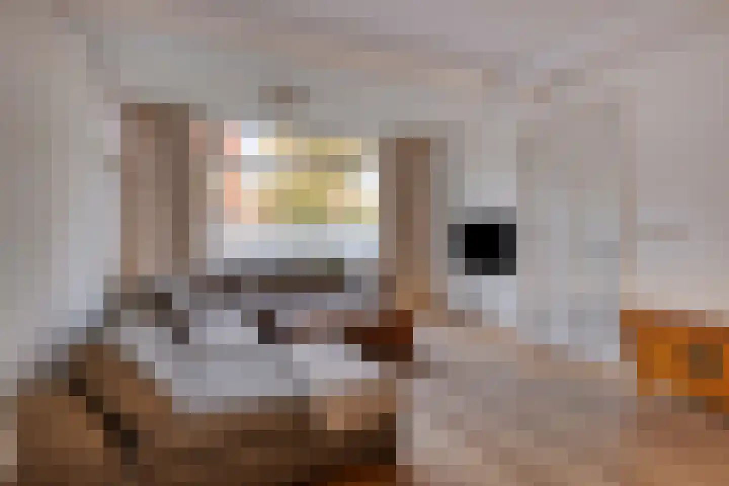 Zuideinde 70 Koog aan de Zaan thumbnail 10