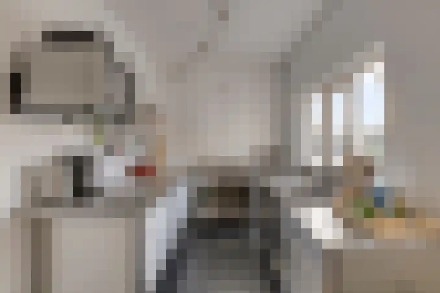Zuideinde 70 Koog aan de Zaan thumbnail 15