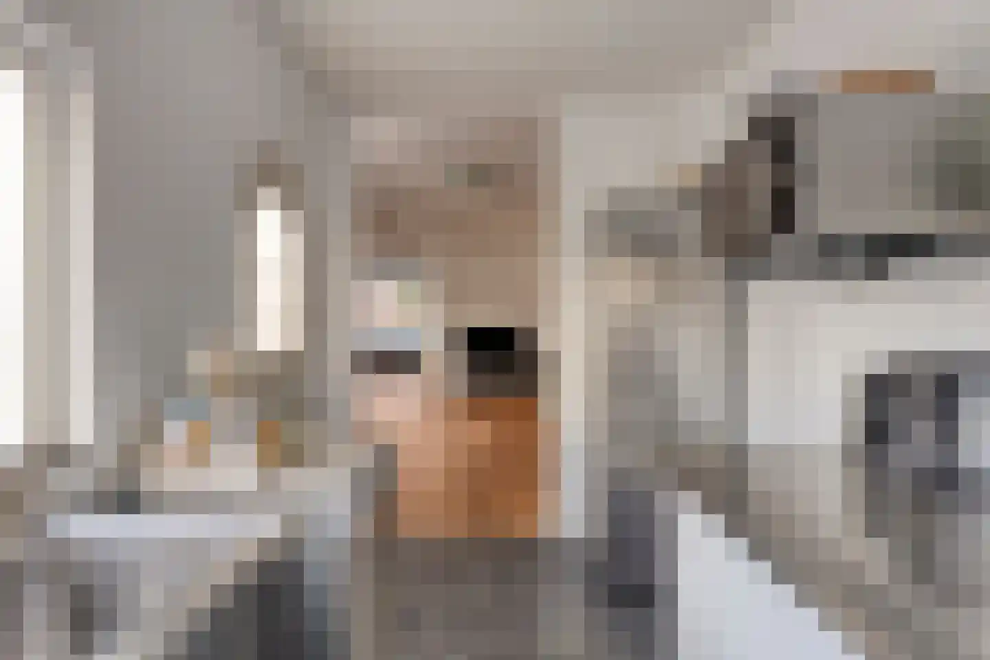 Zuideinde 70 Koog aan de Zaan thumbnail 16