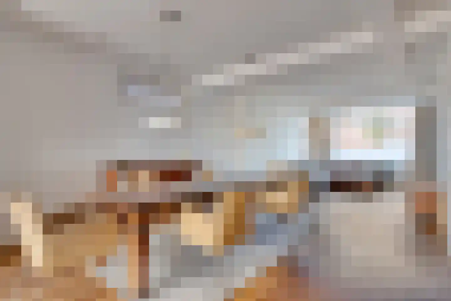 Zuideinde 70 Koog aan de Zaan thumbnail 4