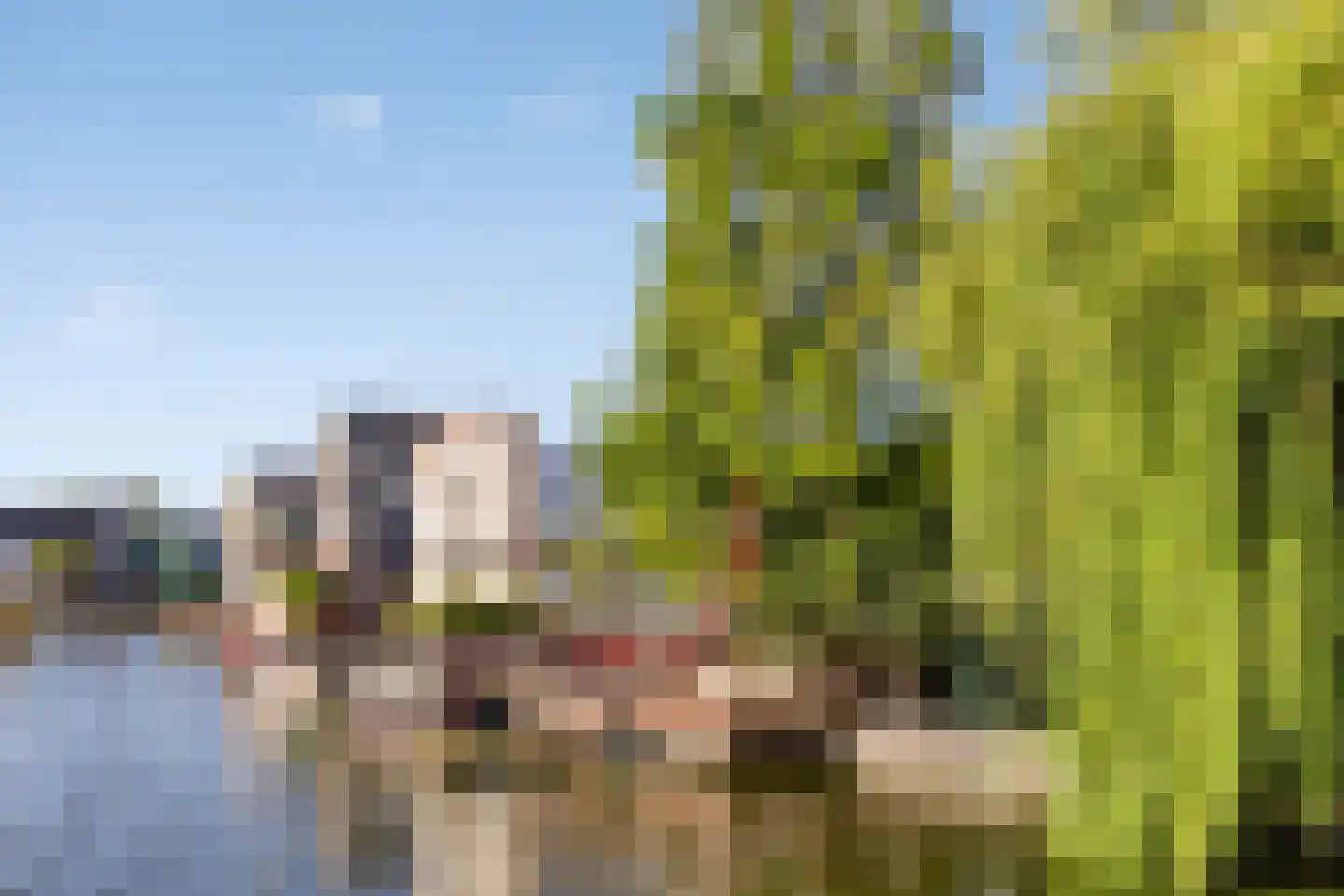 Zuideinde 70 Koog aan de Zaan thumbnail 44