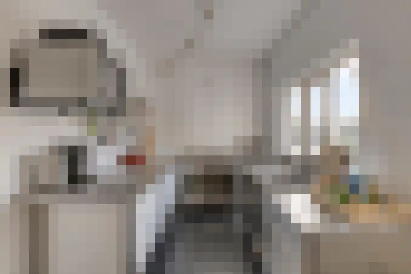 Zuideinde 70 Koog aan de Zaan thumbnail 5