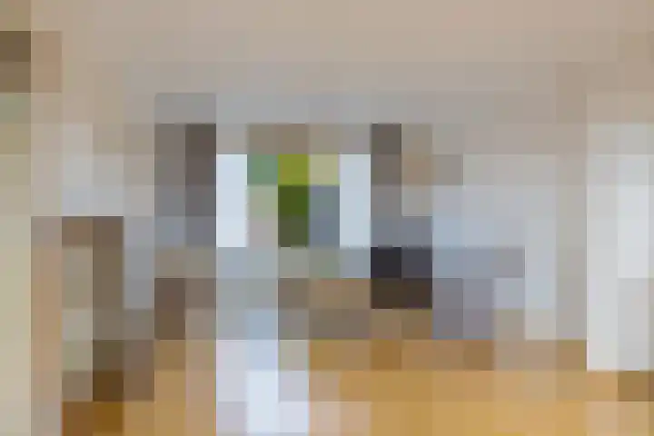 Zuideinde 74 A Monnickendam thumbnail 13