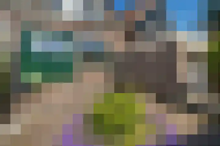 Zuideinde 74 A Monnickendam thumbnail 19