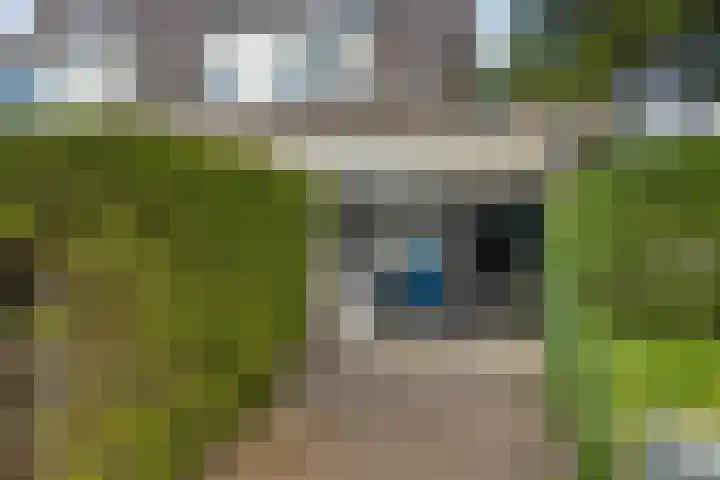Zuideinde 74 A Monnickendam thumbnail 21
