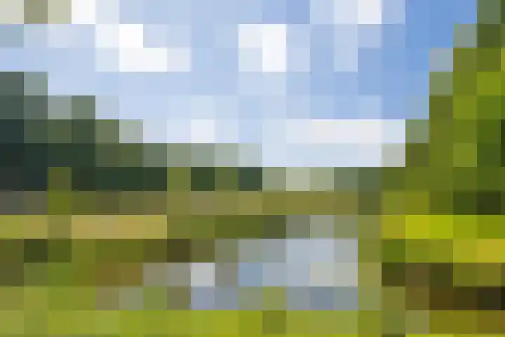 Zuideinde 74 A Monnickendam thumbnail 37