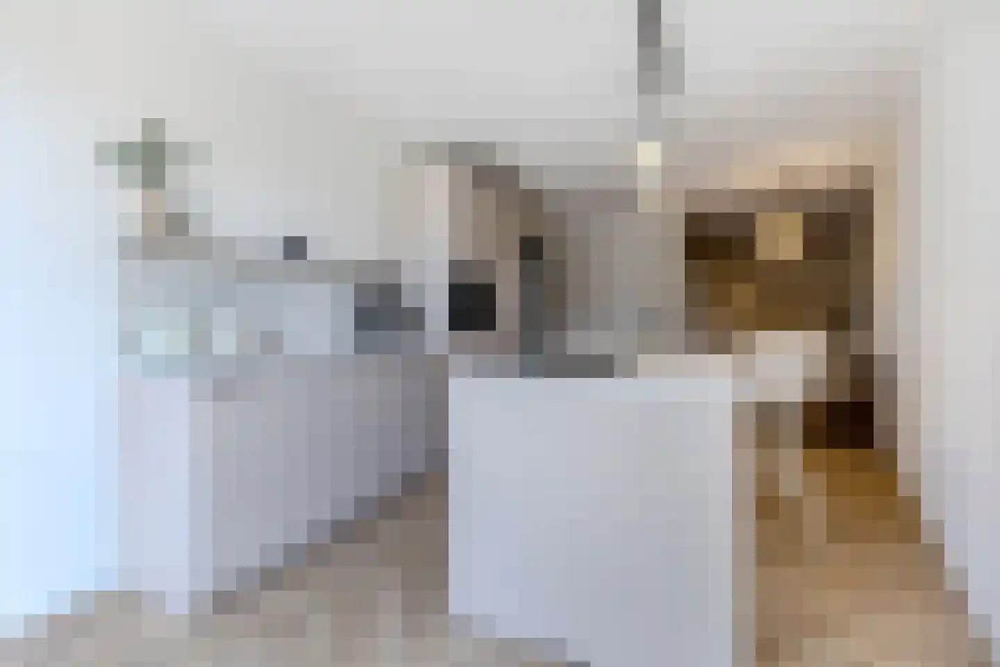 Zuideinde 74 H Koog aan de Zaan thumbnail 11