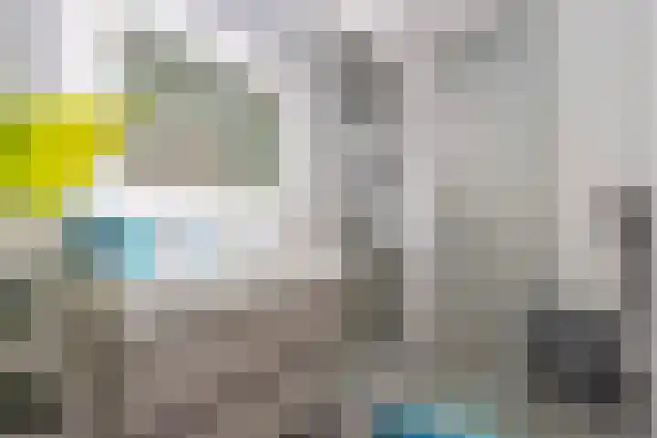 Zuideinde 74 S Koog aan de Zaan thumbnail 15