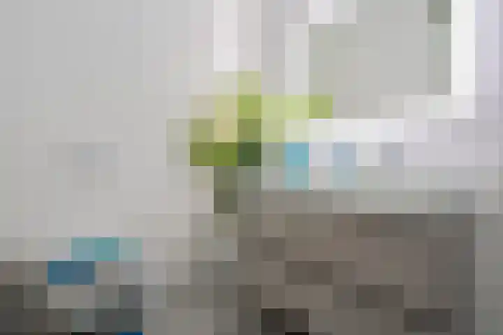 Zuideinde 74 S Koog aan de Zaan thumbnail 16