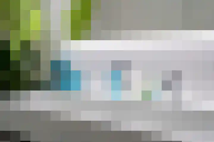 Zuideinde 74 S Koog aan de Zaan thumbnail 17