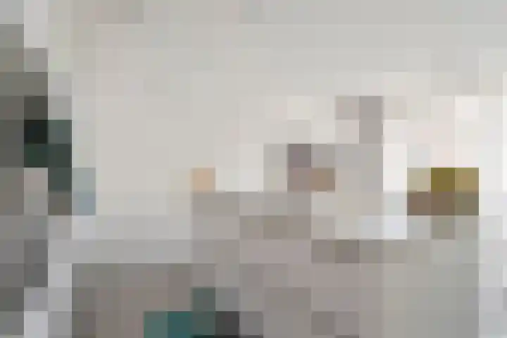 Zuideinde 74 S Koog aan de Zaan thumbnail 4