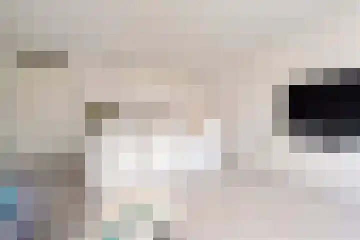 Zuideinde 74 S Koog aan de Zaan thumbnail 5