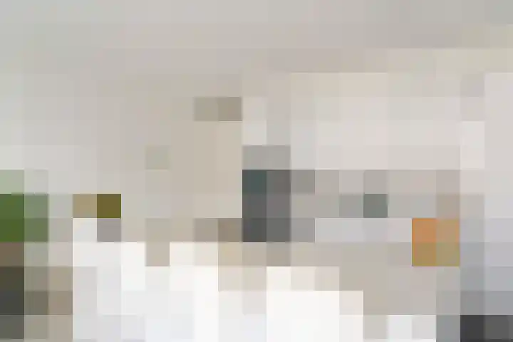 Zuideinde 74 S Koog aan de Zaan thumbnail 6