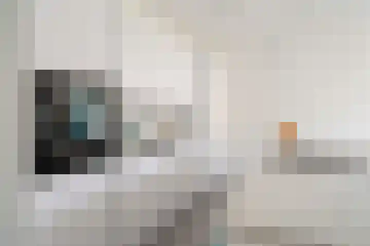 Zuideinde 74 S Koog aan de Zaan thumbnail 8